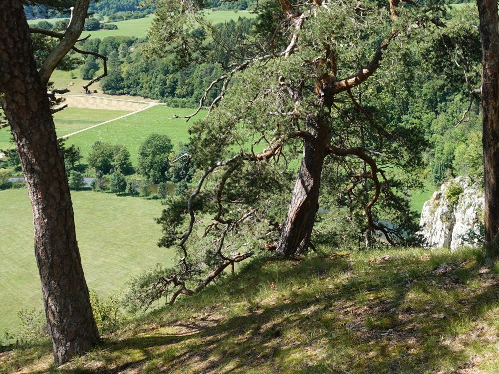 Blick vom Laibfelsen