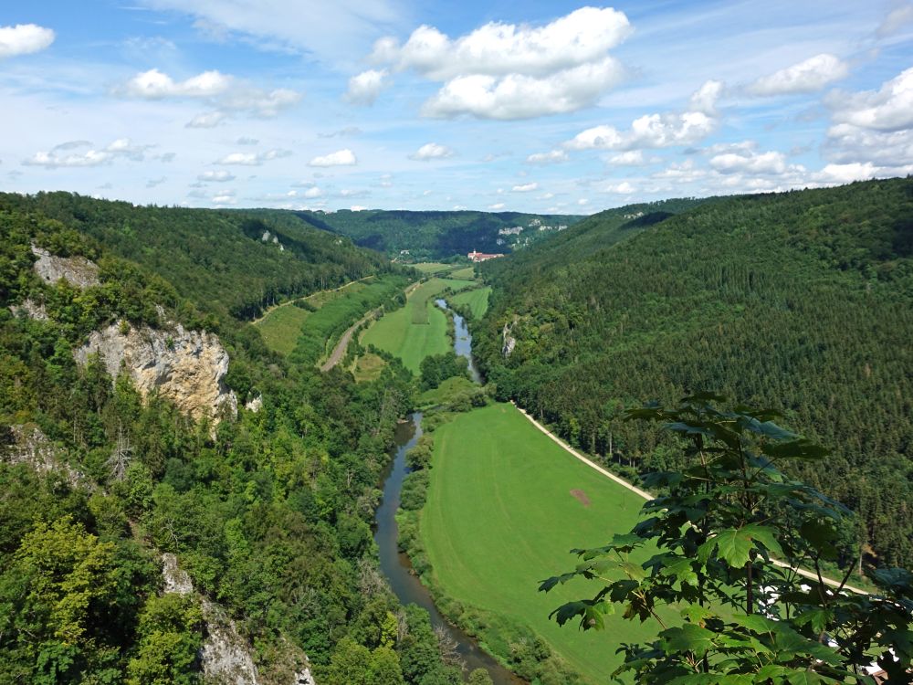 Blick vom Knopfmacherfels Richtung Beuron