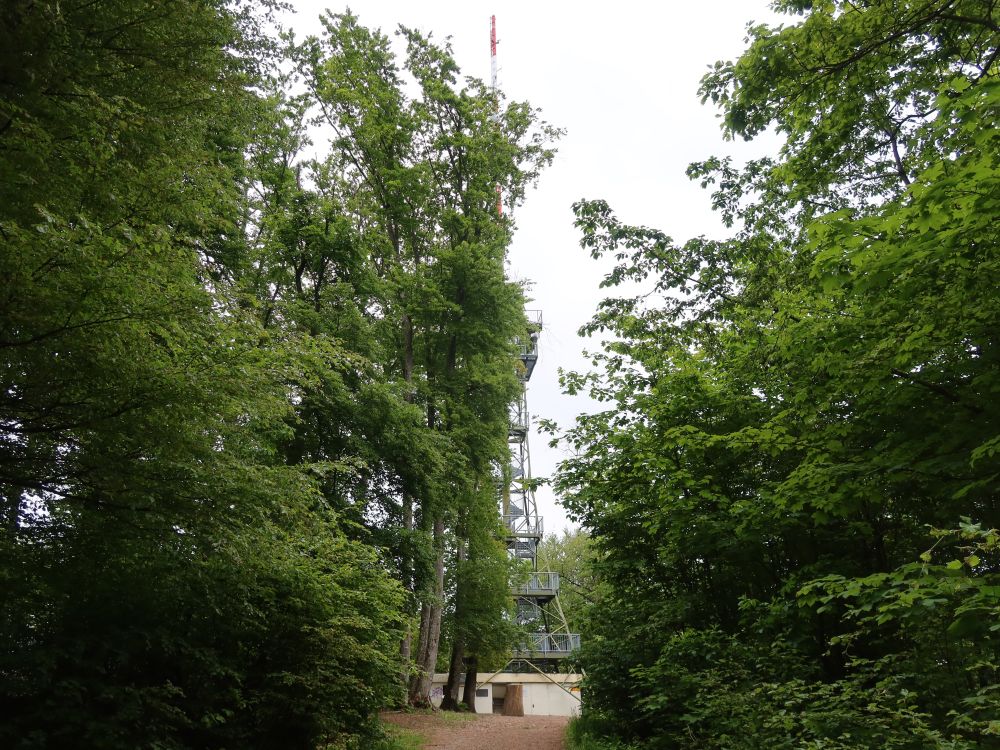 Irchelturm am Heerenbänkli