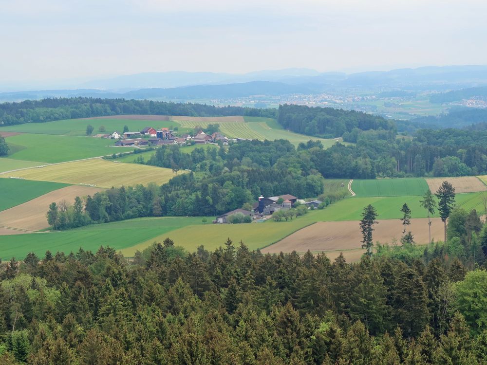 Bebikon und Rütiholz