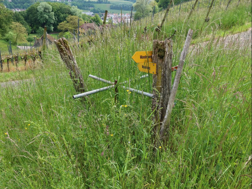 Drehkreuz im Gras versunken