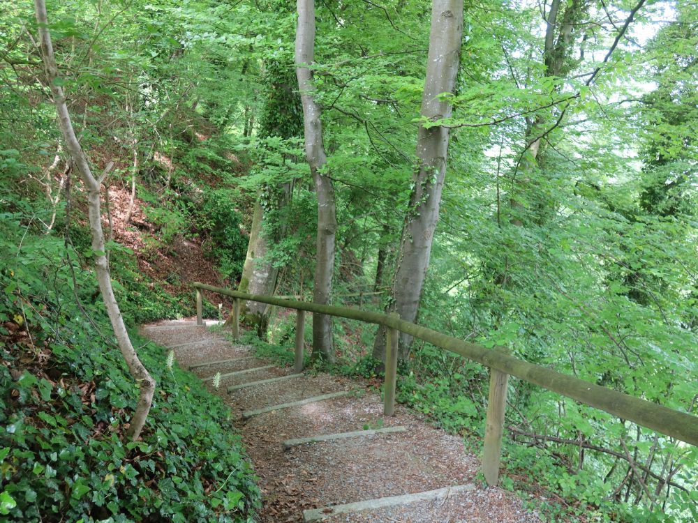 Treppe am Warthügel