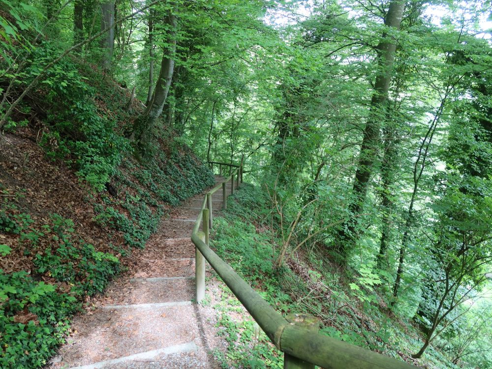 Treppe am Warthügel