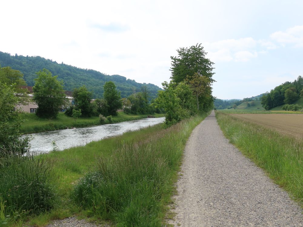 Töss mit Uferweg