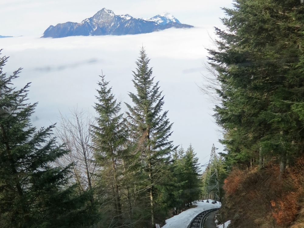 Rigi überm Nebel