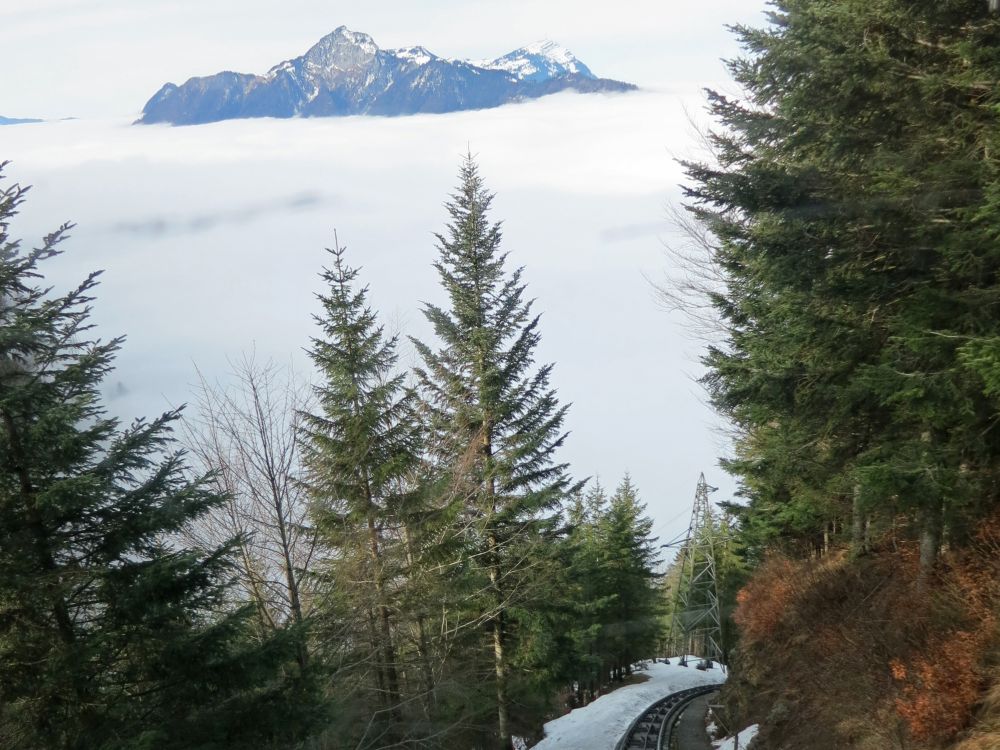 Rigi berm Nebel