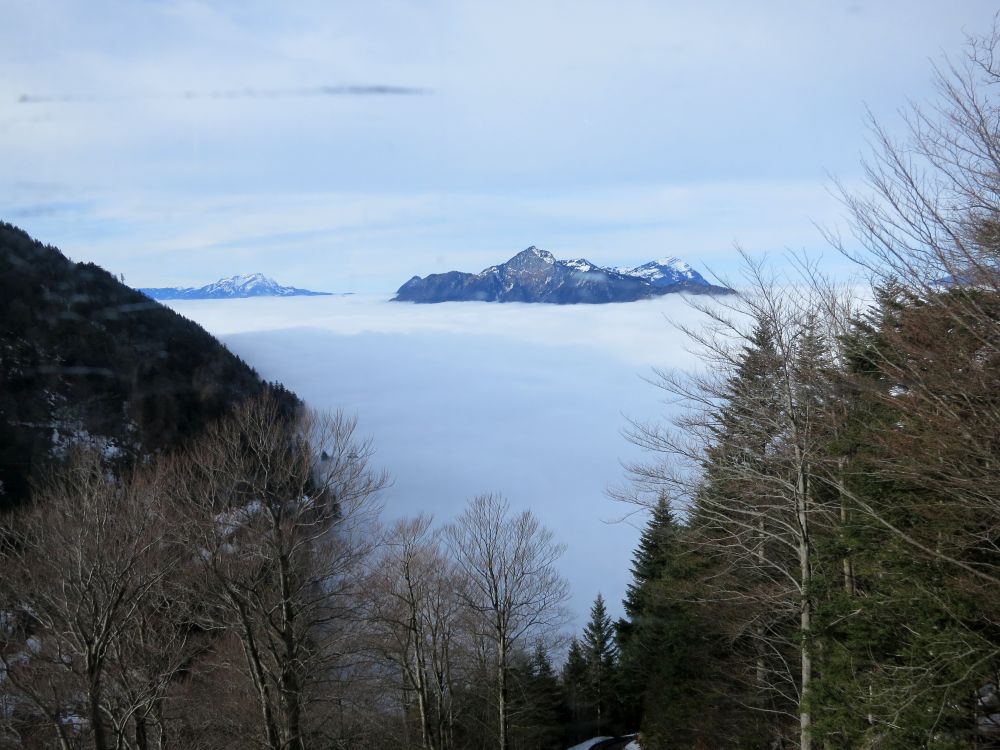 Rigi überm Nebel