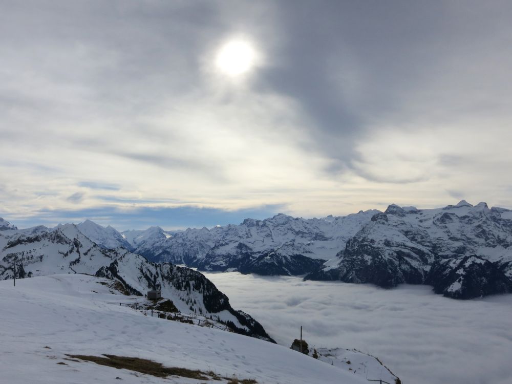 Gegenlicht überm Urnersee