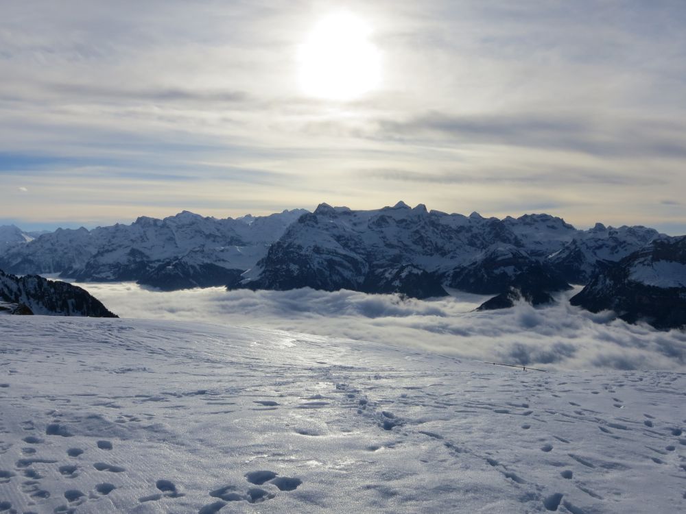Gegenlicht überm Nebel überm Urnersee