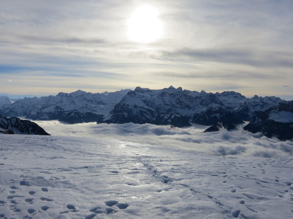 Gegenlicht berm Nebel berm Urnersee