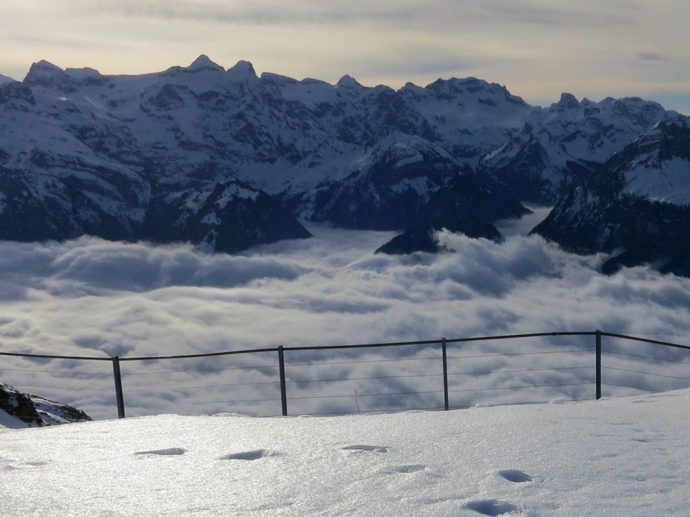 Nebel berm Urnersee