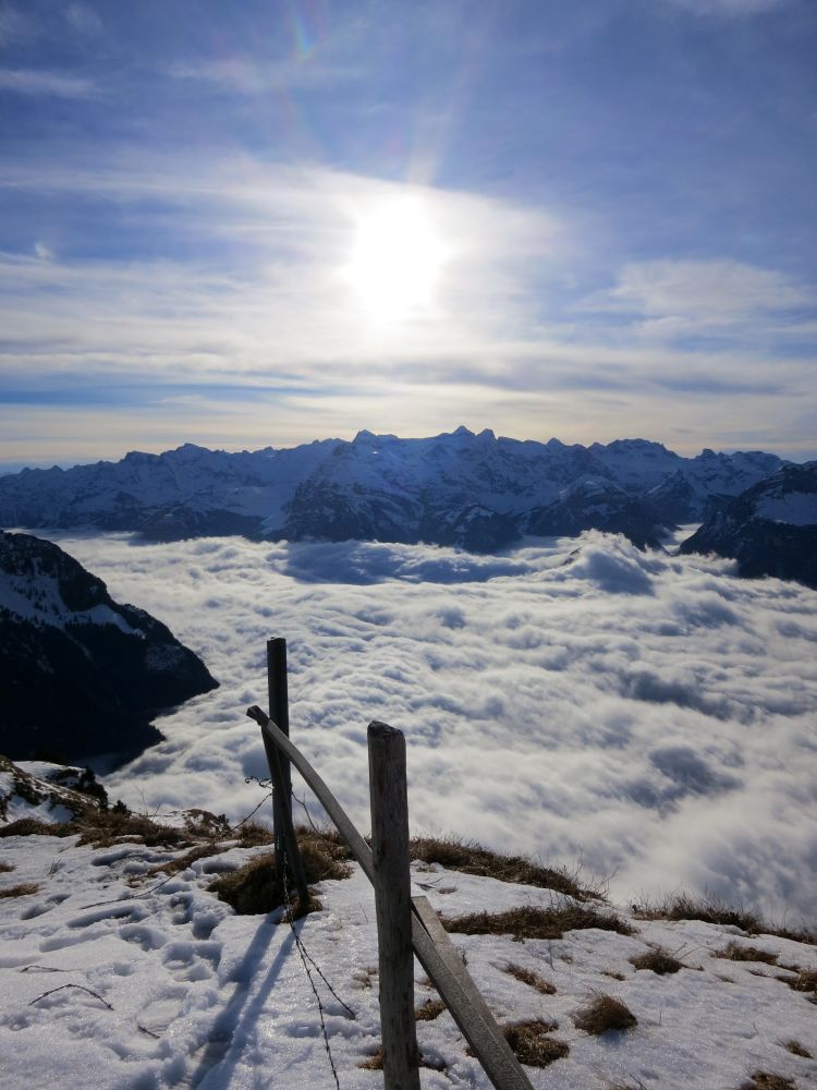 Nebel berm Urnersee