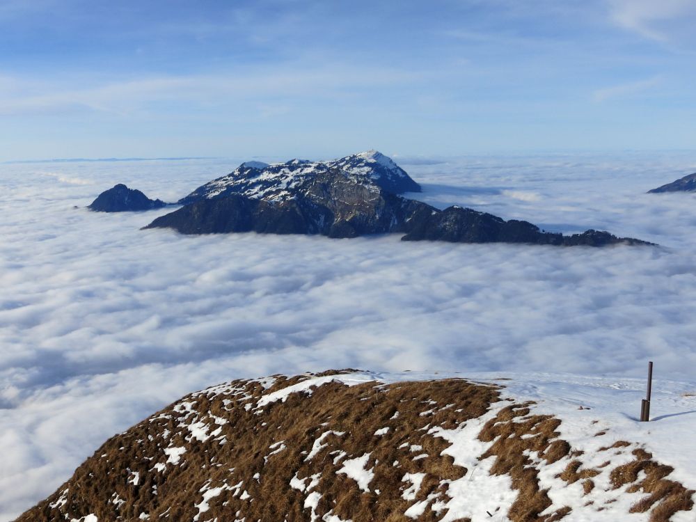 Blick auf die Rigi