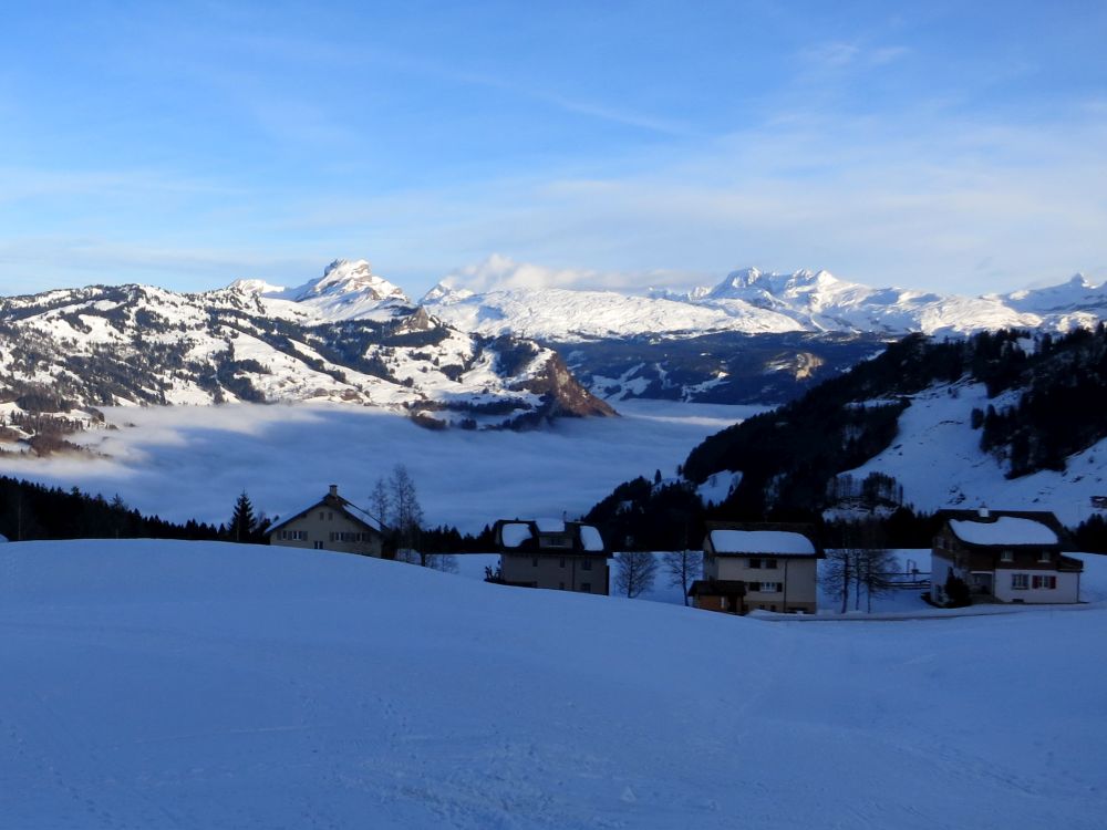 Blick Richtung Muotatal und Glarner Alpen