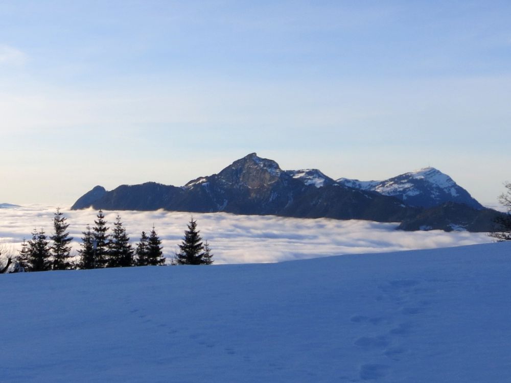 Blick Richtung Rigi