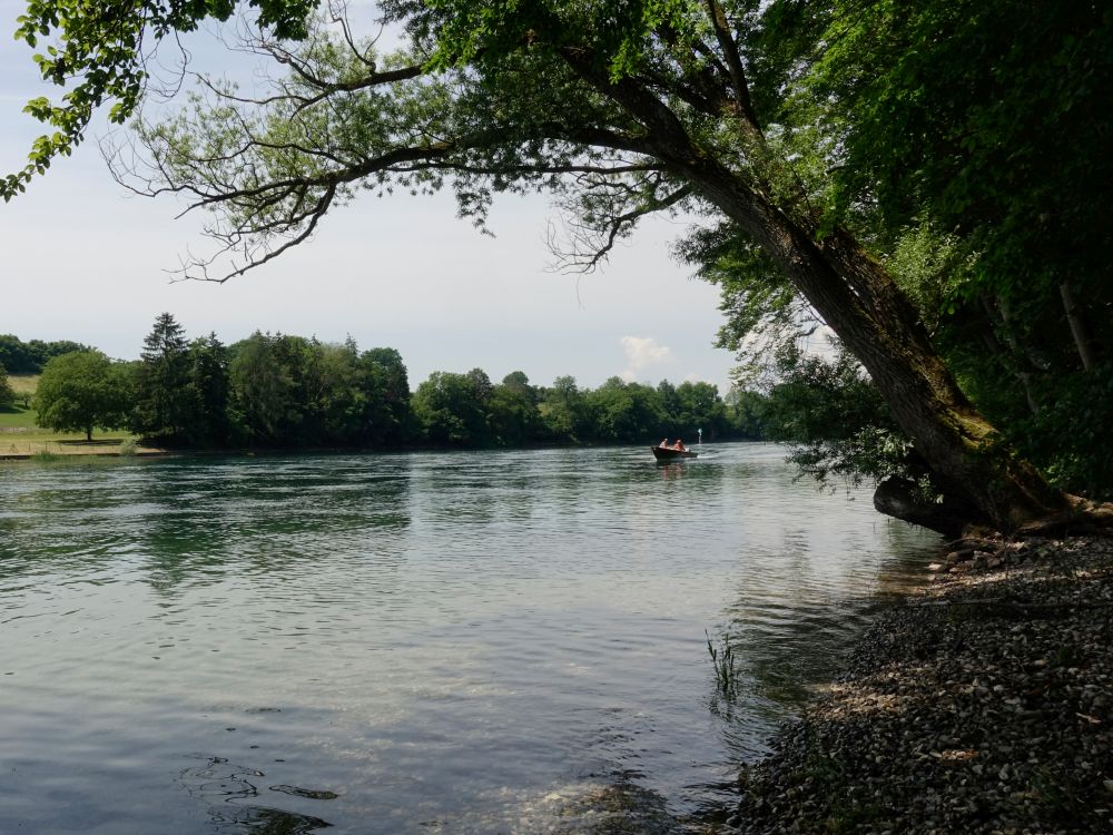 Boot auf dem Rhein