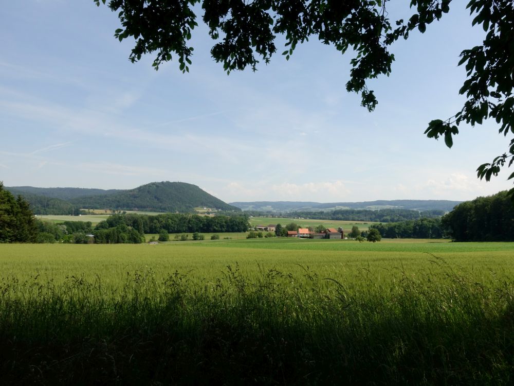 Blick zum Wolkensteinerberg