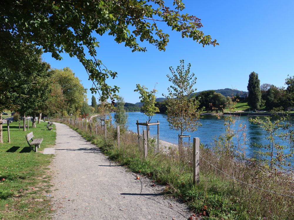 Strandweg am Rheinuferpark