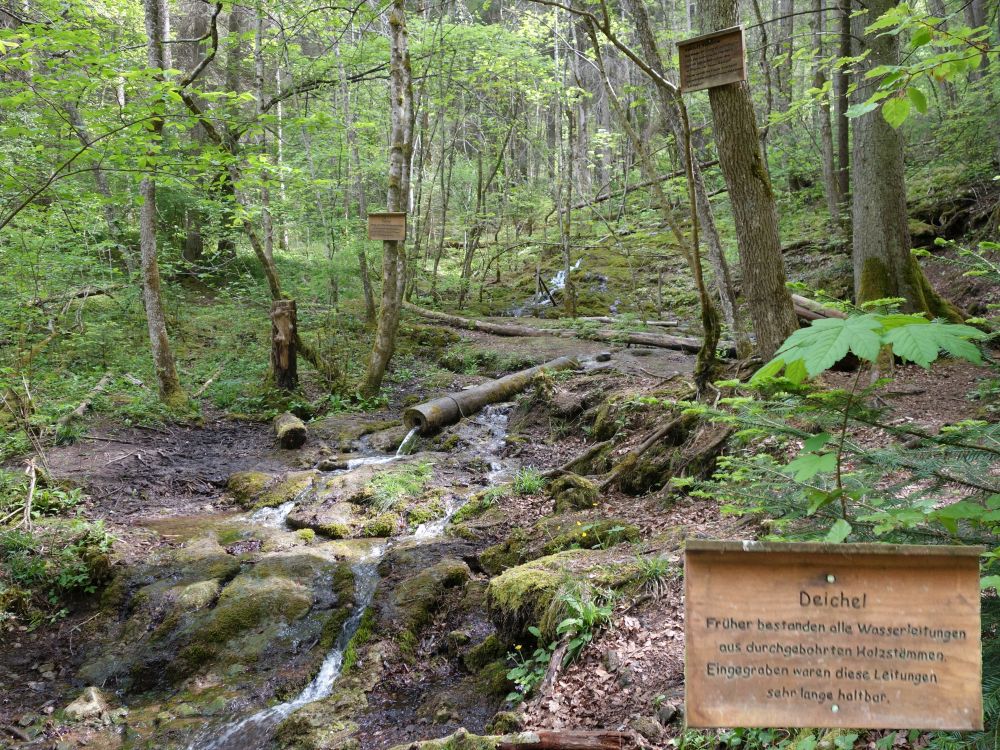 Deichel (Wasserrohr aus Holz)