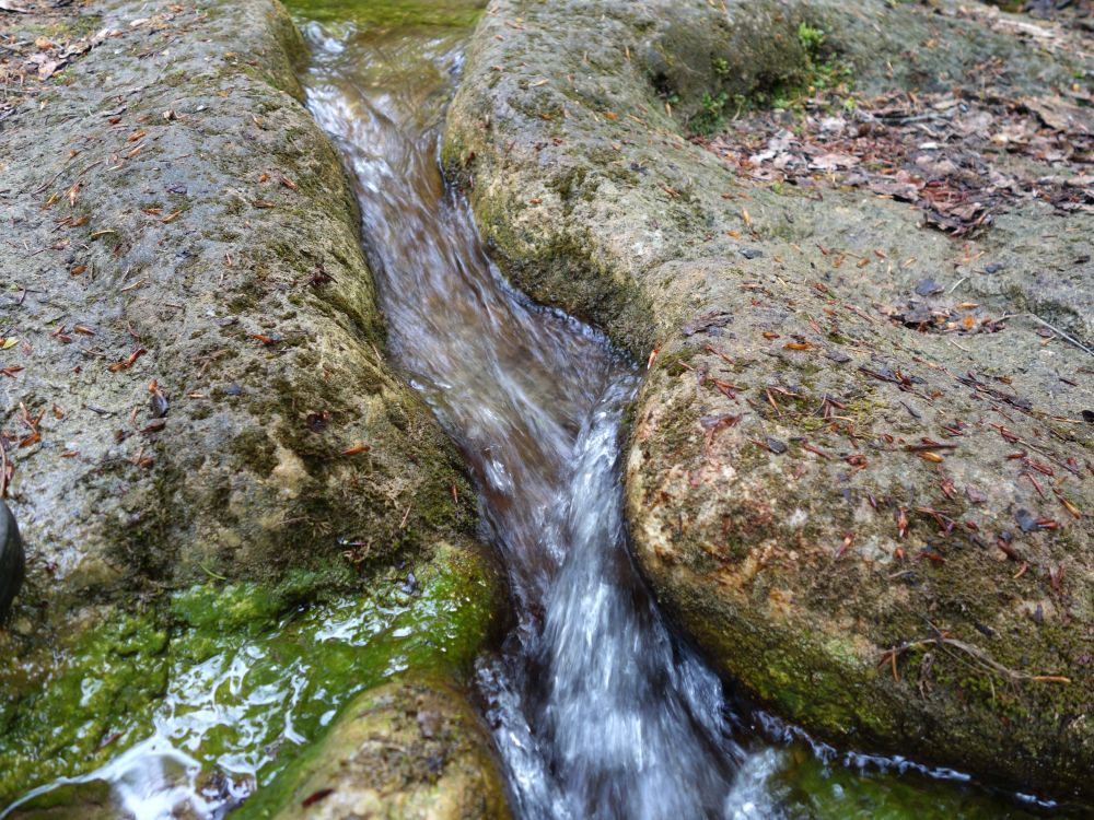 Bachlauf durch Sinter