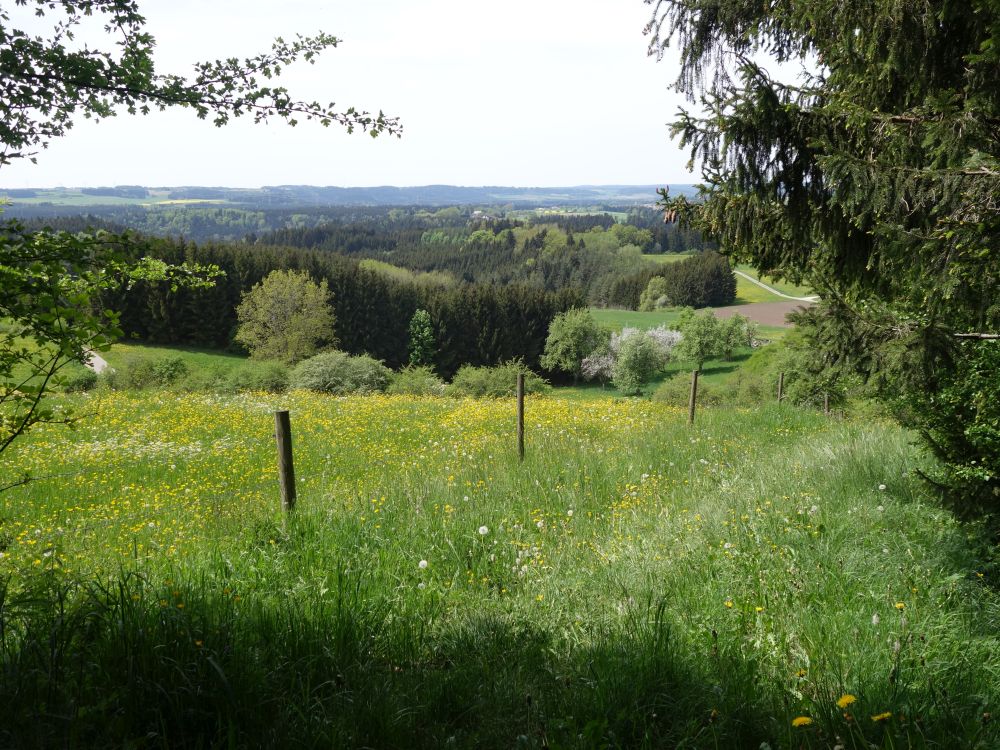 Blick ber Gauchachschlucht hinweg