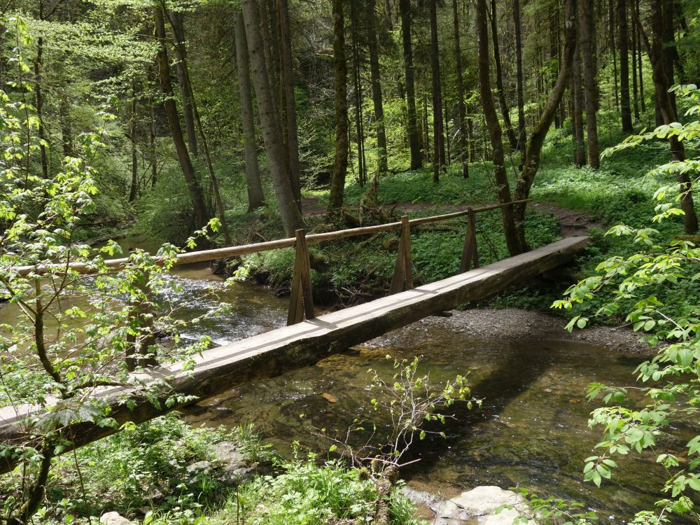 Einbaum-Holzsteg