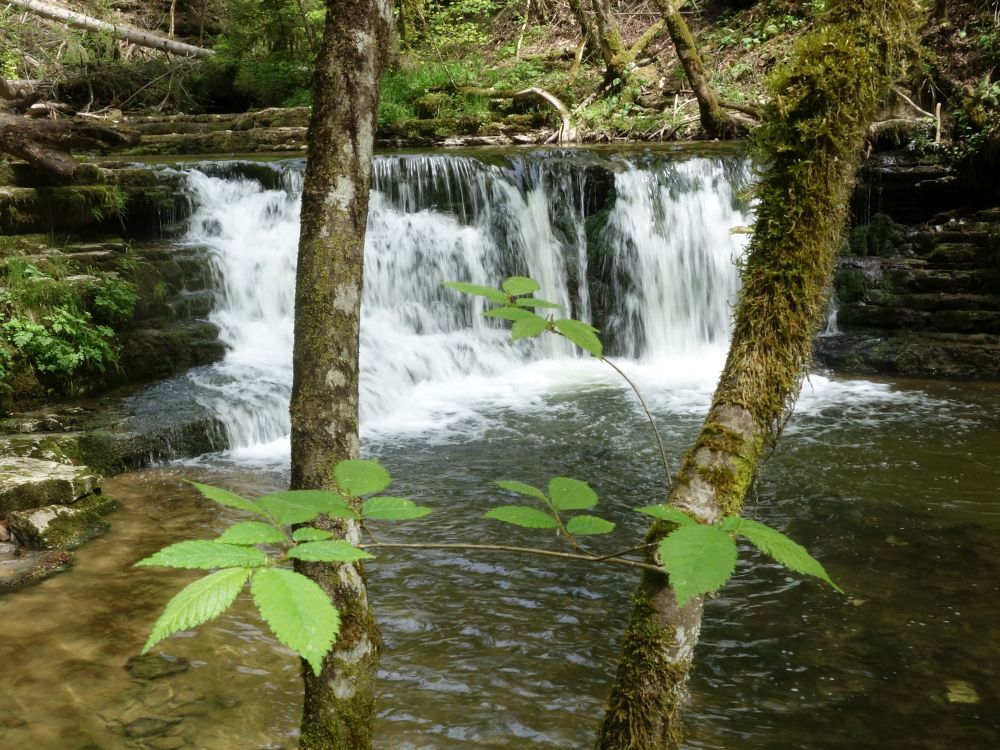 Wasserfall