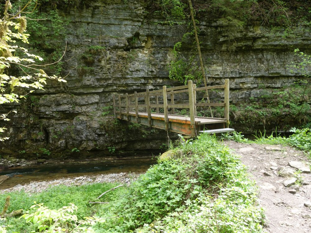 Holzsteg ber die Gauchach