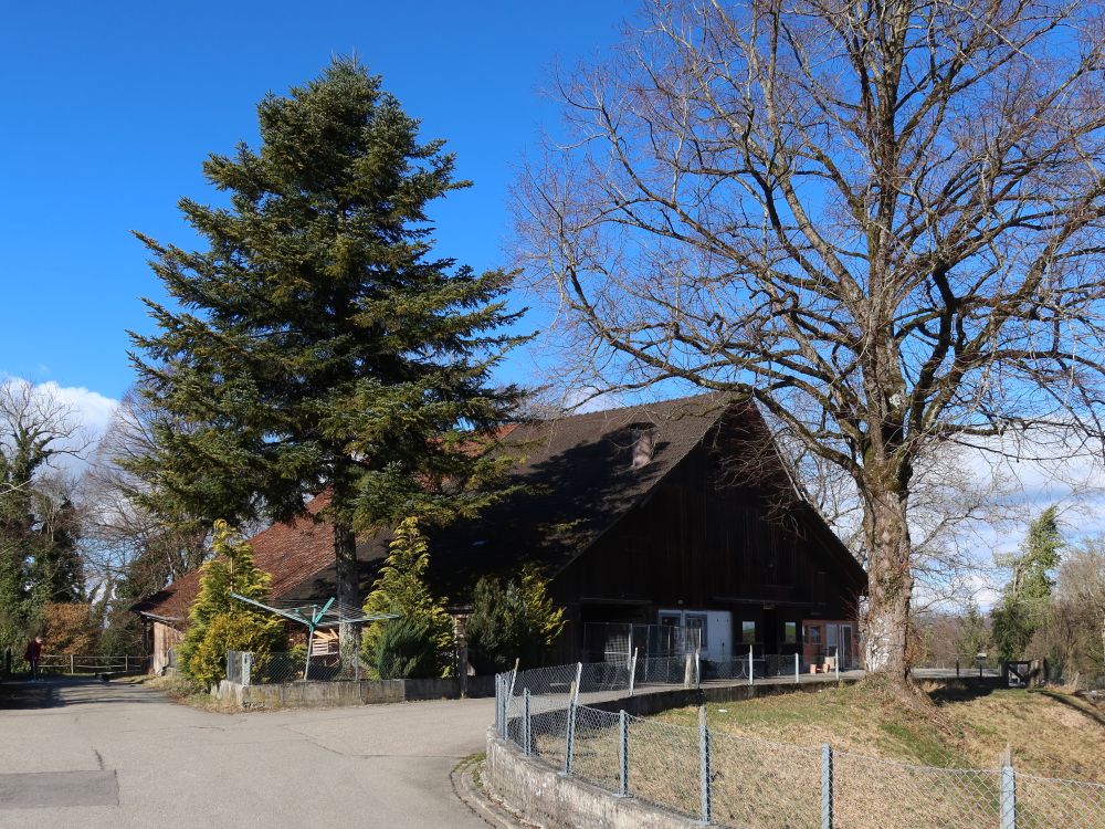 Bauernhof in Griesenberg