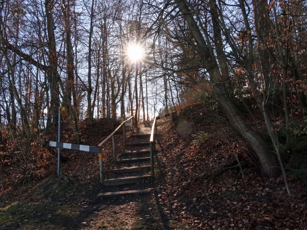 Treppe im Gegenlicht