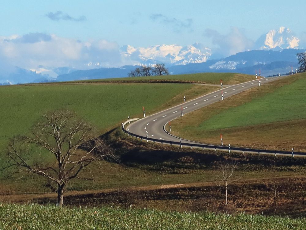 Strasse und Alpen