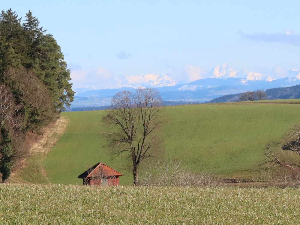 Hütte bei Obermatt und Alpen