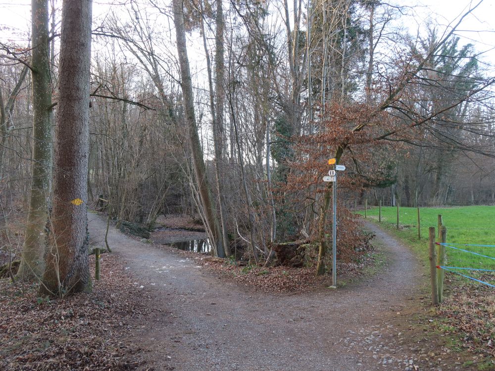 Wanderweg am Mühlibach