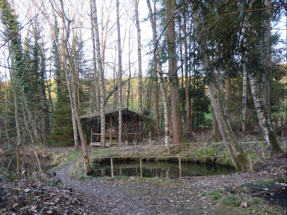 Hütte mit Teich