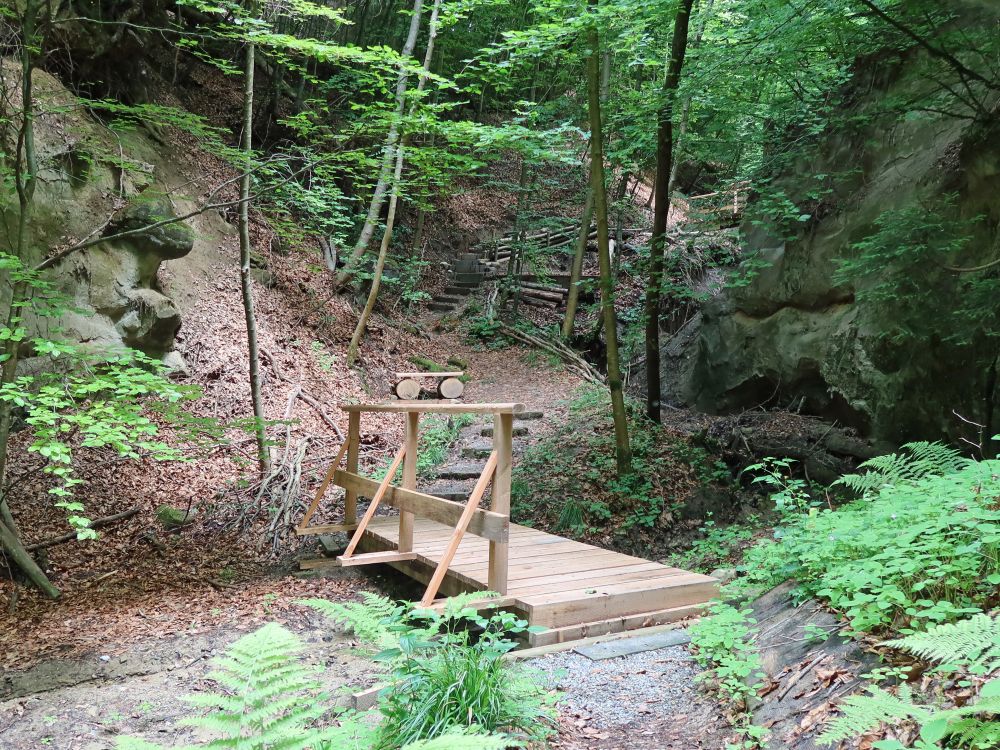 Holzsteg im Giessbachtobel