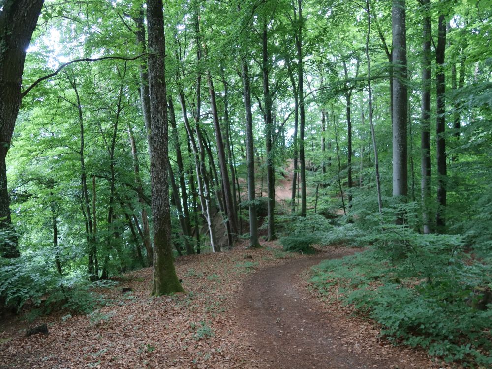 Pfad an der Bergkante