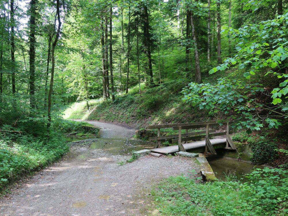 Steg am Altbach