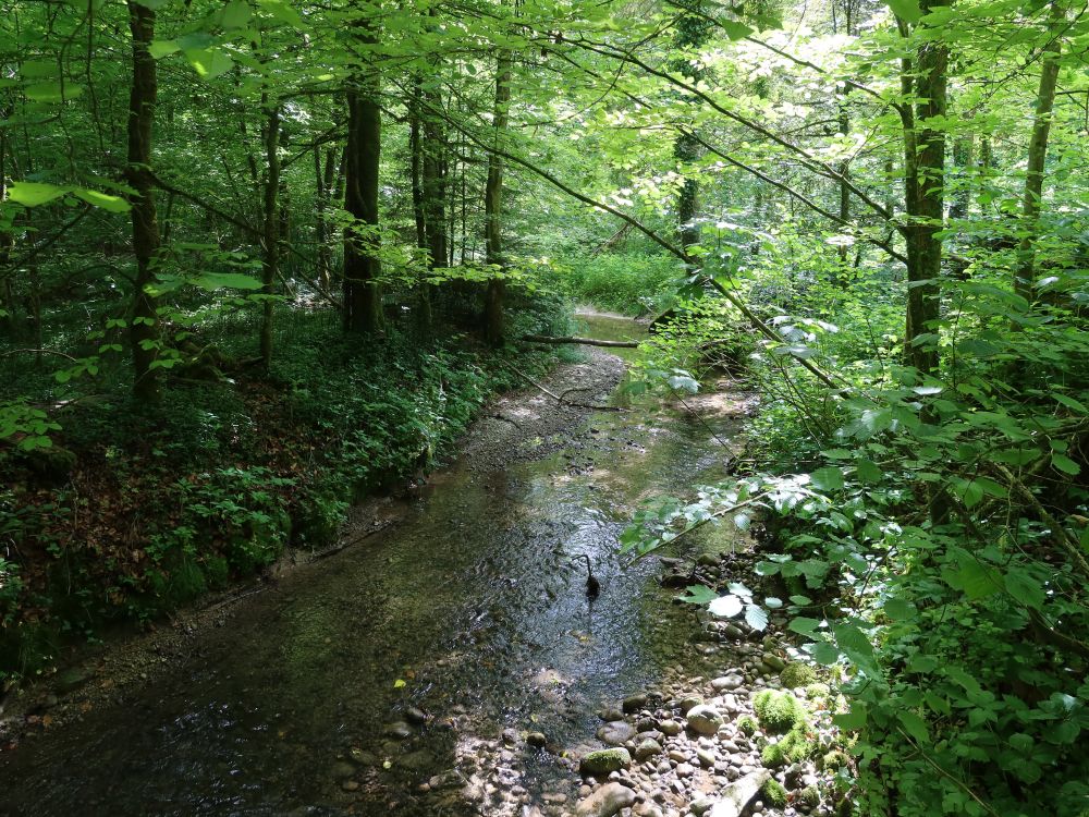 Altbach