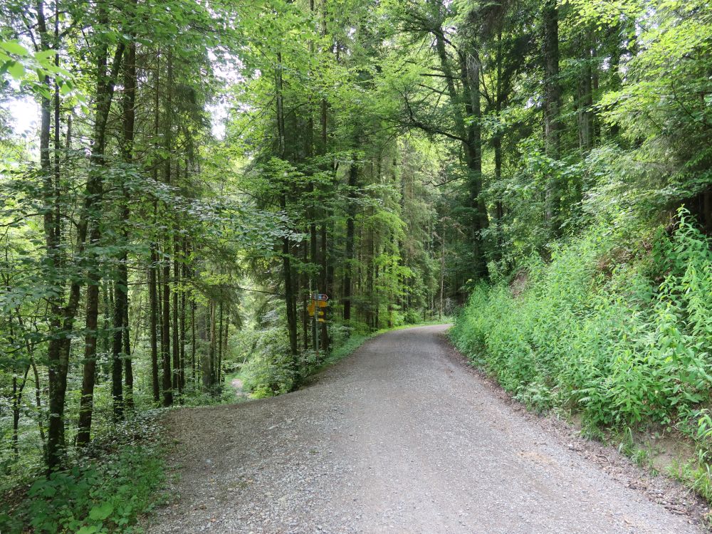 Abzweig Giessenweg