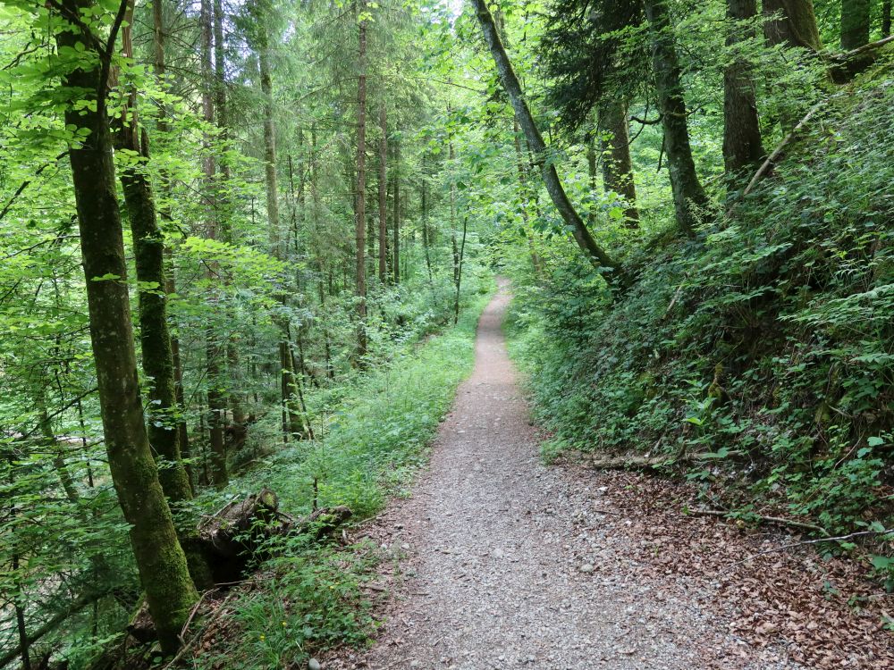 Giessenweg