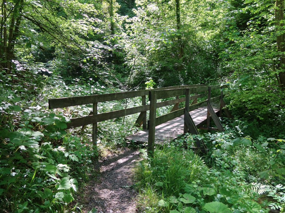 Holzsteg
