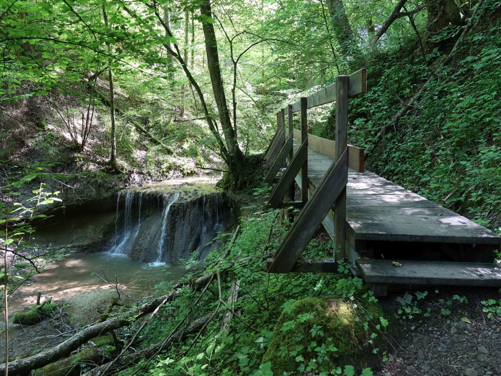 Holzsteg und Kleiner Wasserfall