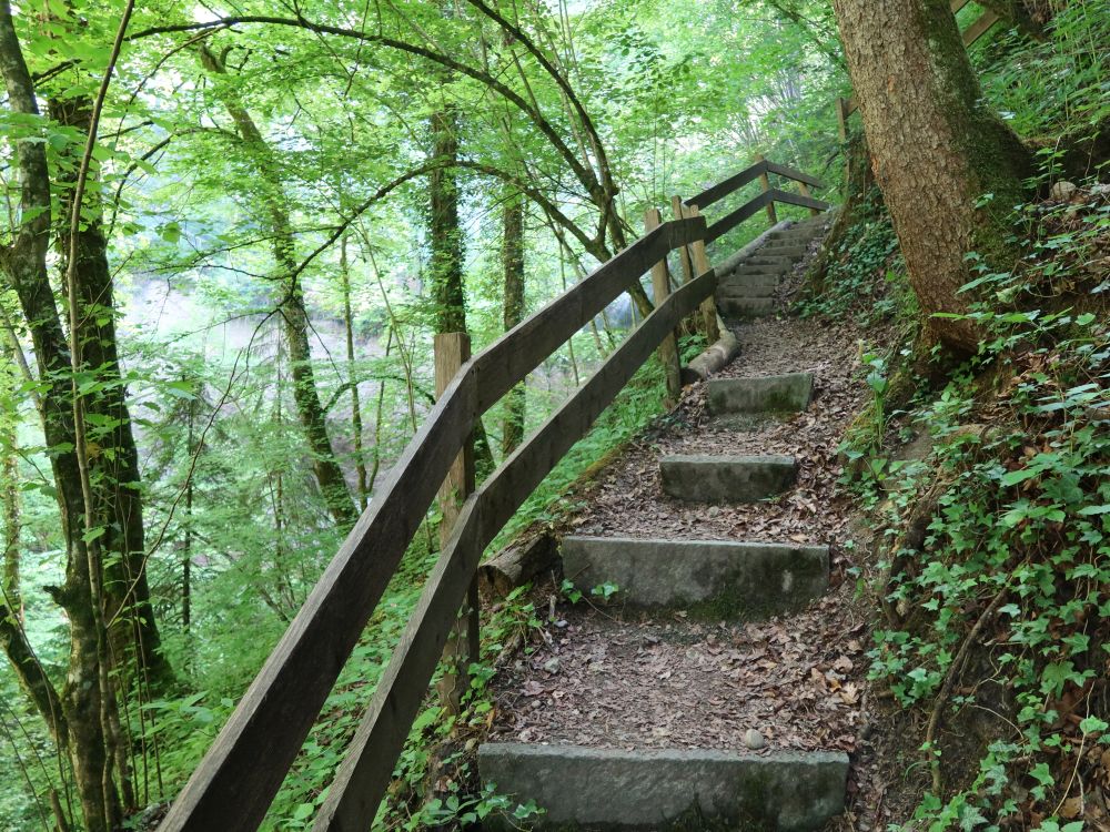 Treppe am Giessenfall