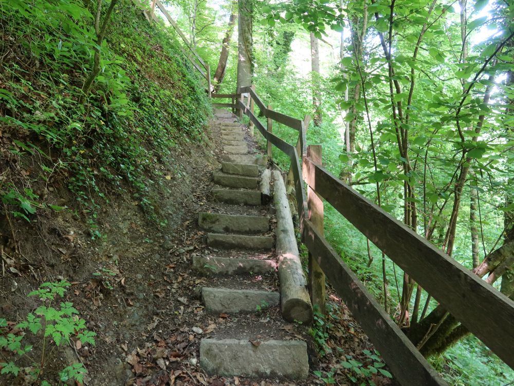 Treppe am Giessenfall