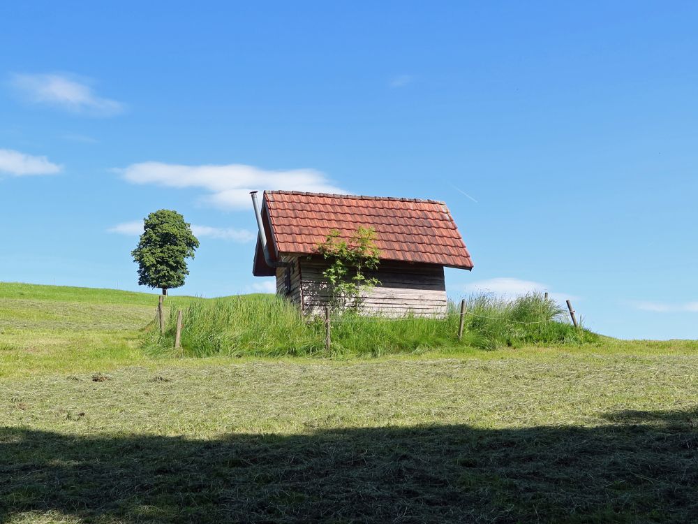 Hütte