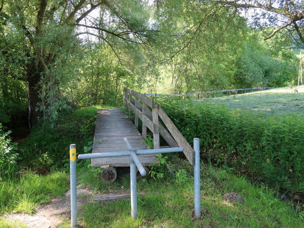 Drehkreuz und Holzsteg