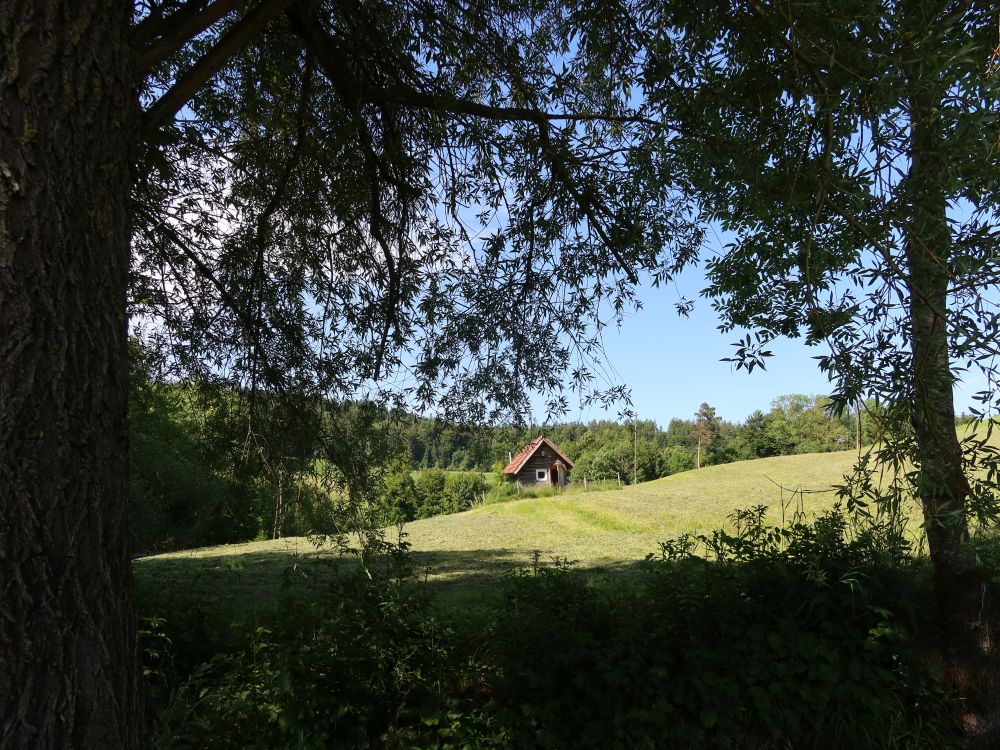 Hütte