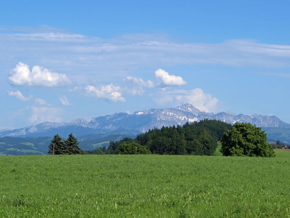 Säntis
