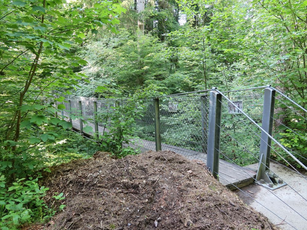 Hängebrücke