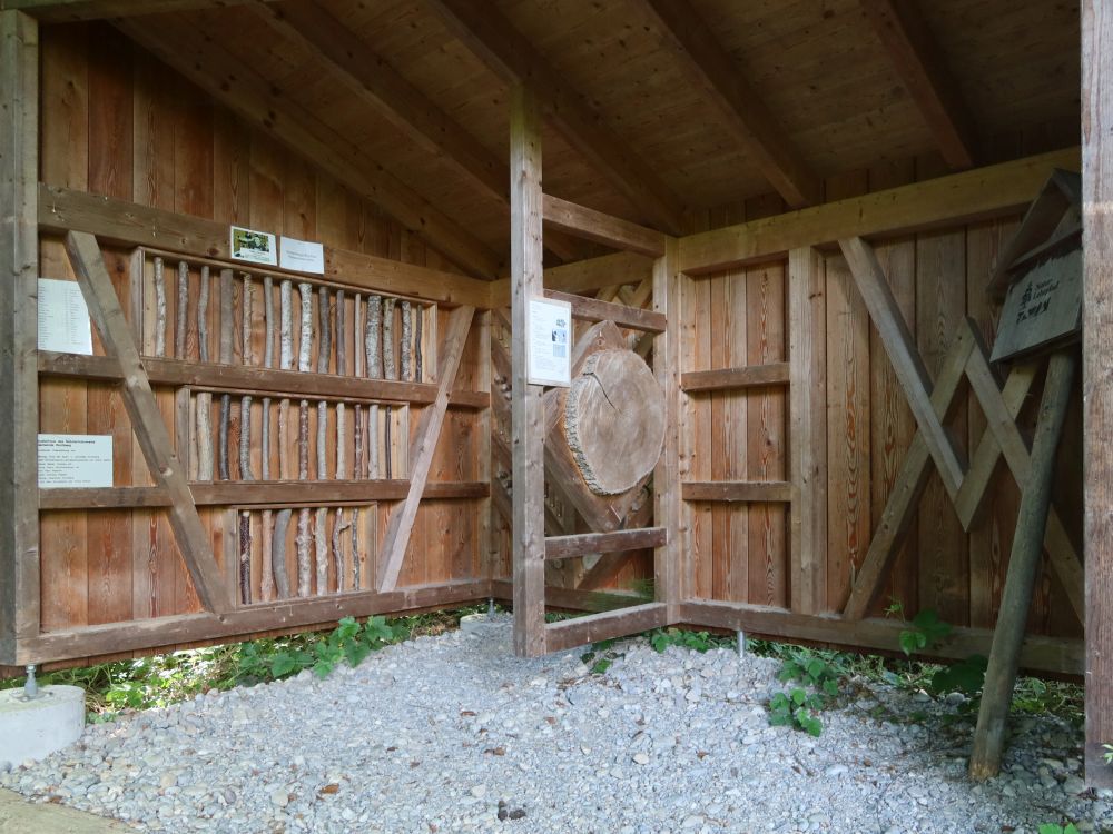 Ausstellungs-Pavillon